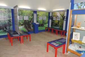 Ausstellung Vom Maulbeerbaum zur Seide
